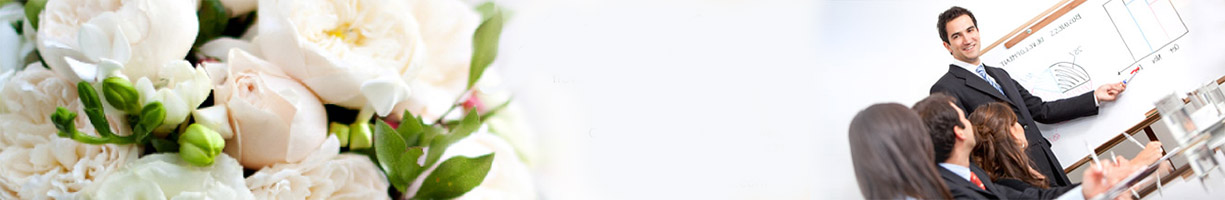 organizasyon-banner